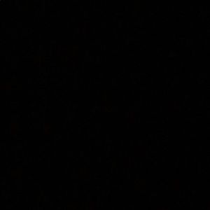 Meet your Posher, Jose